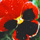 Red Flowers icon